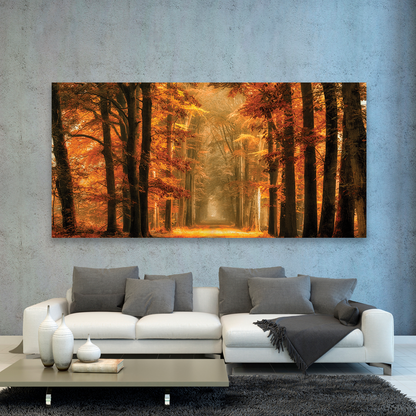 Bosque Sendero De Otoño