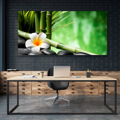 Bambu Y Flor Frangipani