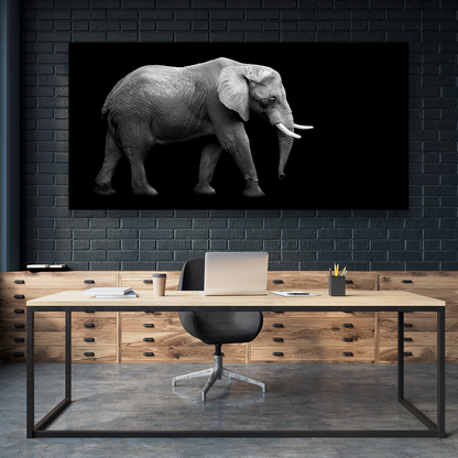 Elefante En Fondo Negro