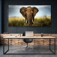 Elefante Entre Pastizal