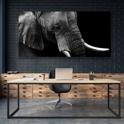 Elefante Retrato Perfil