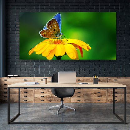 Flores Y Mariposa Azulada