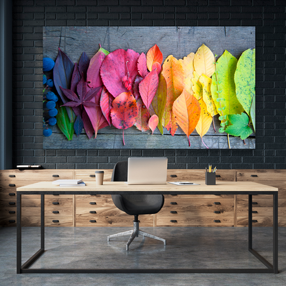 Hojas De Colores