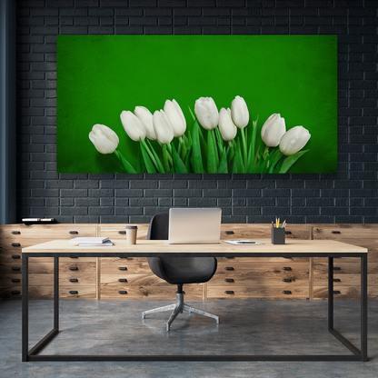 Tulipanes En Color Blanco
