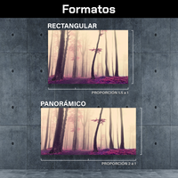 Arbol Neblina