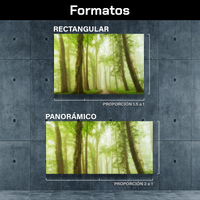 Bosque Bajo Niebla Verde