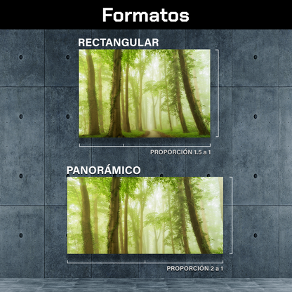 Bosque Bajo Niebla Verde