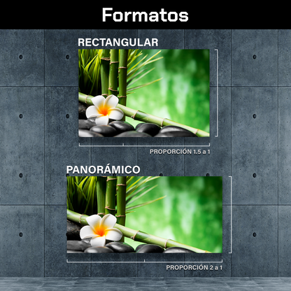 Bambu Y Flor Frangipani