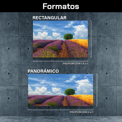 Campos Y Arbol