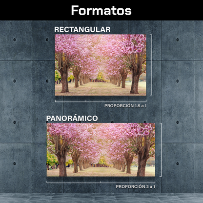 Bosque De Cerezos Rosas
