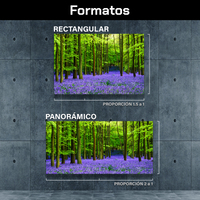 Bosque Vibrante