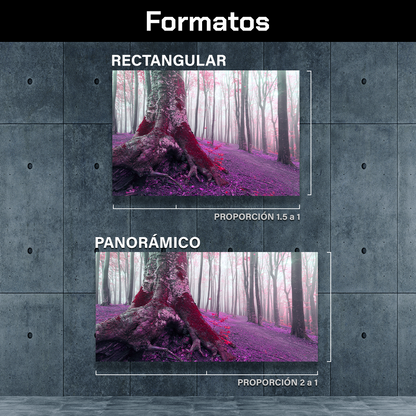 Bosque Viejo En Morado
