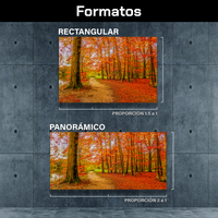 Bosque Y Hojas De Otoño
