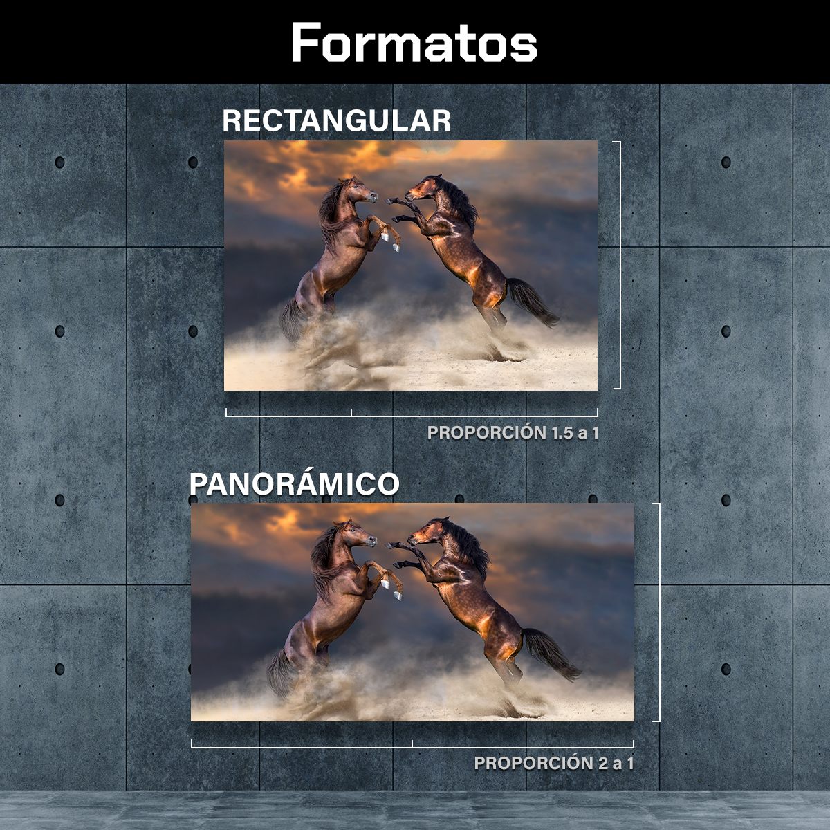 Caballos Danzando Desierto