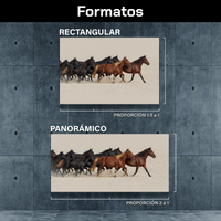 Caballos En El Desierto