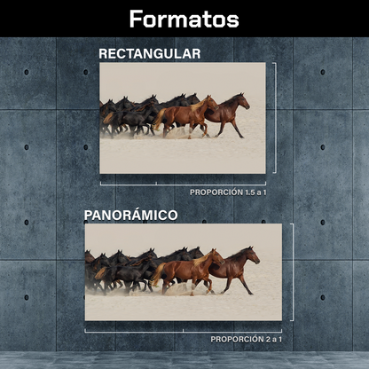 Caballos En El Desierto