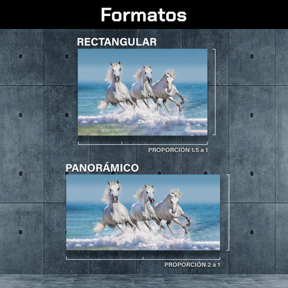Caballos En La Playa