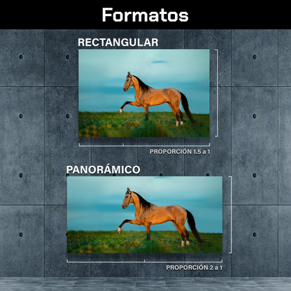 Caballo En La Pradera