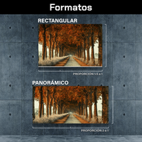Camino De Otoño
