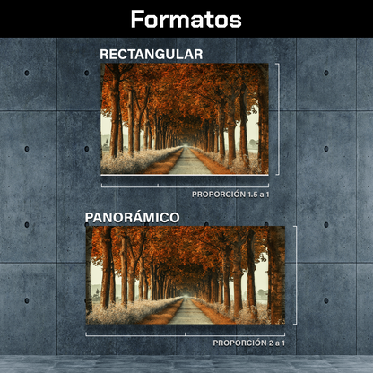 Camino De Otoño