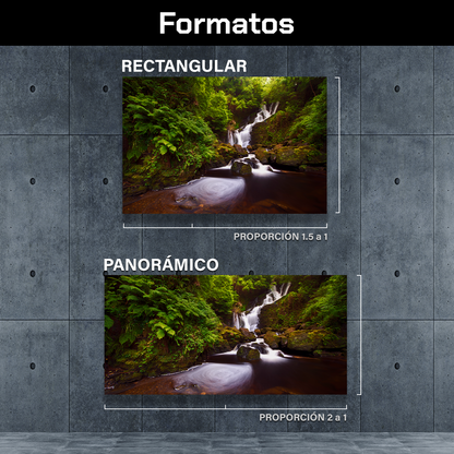 Cascada En Bosque