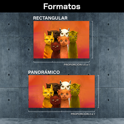 Cinco Gatos Posando