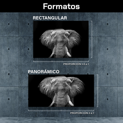 Elefante Con Colmillos