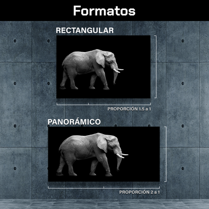 Elefante En Fondo Negro