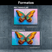 Mariposa De Colores