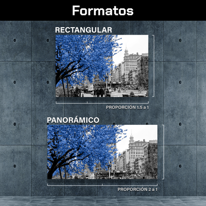 Otoño Azul