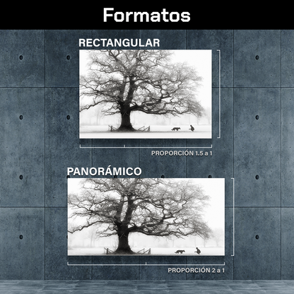 Sombras En Nieve