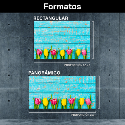 Tulipanes Colores