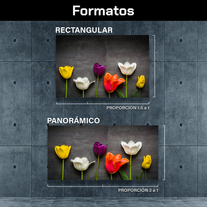 Tulipanes Negro
