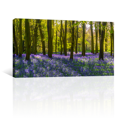 Árboles y Lavanda