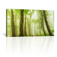 Bosque Bajo Niebla Verde