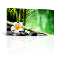 Bambu Y Flor Frangipani