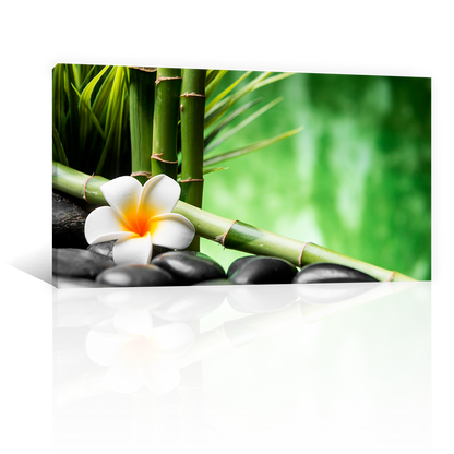 Bambu Y Flor Frangipani