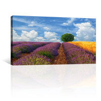 Campos Y Arbol