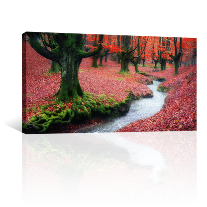 Bosque Corriente
