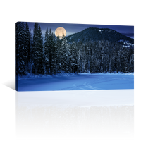 Bosque Noche Nieve Luna