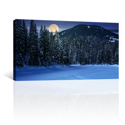 Bosque Noche Nieve Luna