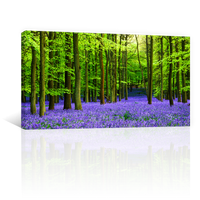 Bosque Vibrante