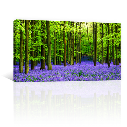 Bosque Vibrante