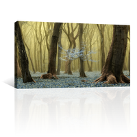 Bosque Y Flores Secreta