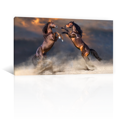 Caballos Danzando Desierto