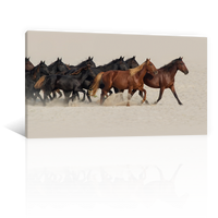 Caballos En El Desierto