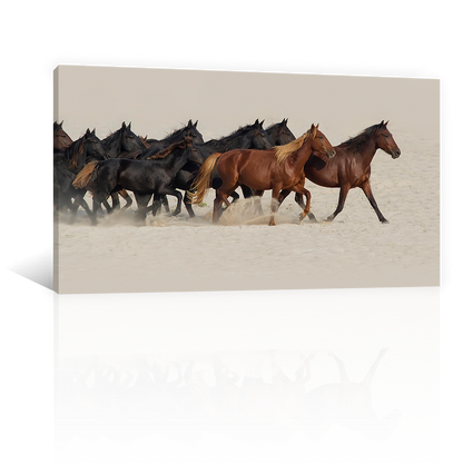 Caballos En El Desierto