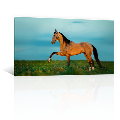 Caballo En La Pradera