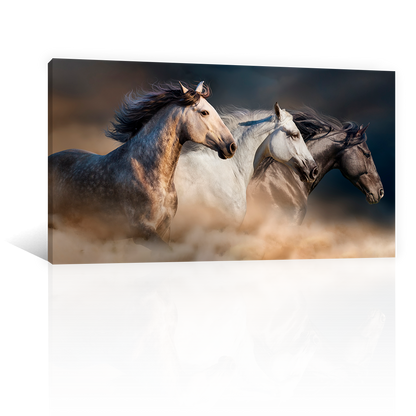 Caballos Galopando