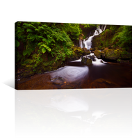 Cascada En Bosque